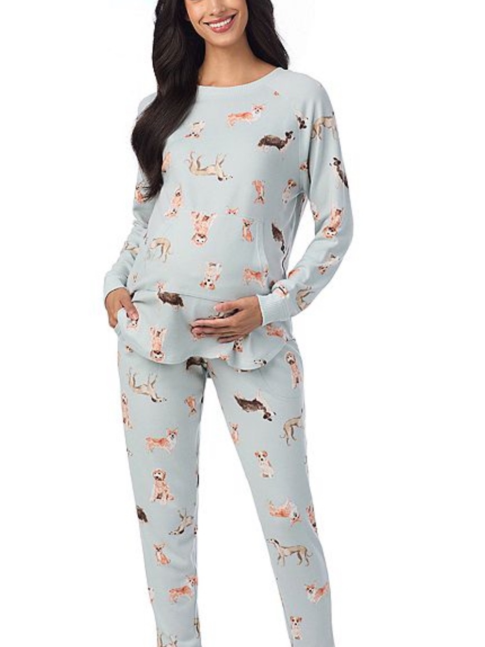 Cuddl Duds Light Blue Maternity Pajama Set with Dog Print